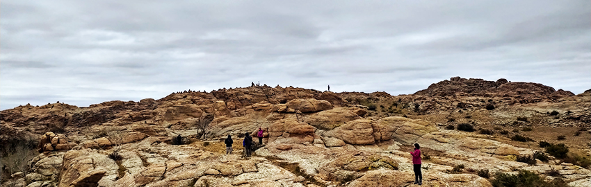Mongolian gobi desert baga gazriin chuluu